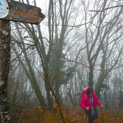 P1160893   Croce Tornieri Marilla.